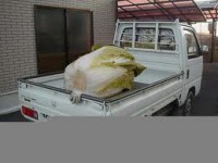 /album/nejvetsi-veci-na-svete/nejvetsi-zeli-jpg/